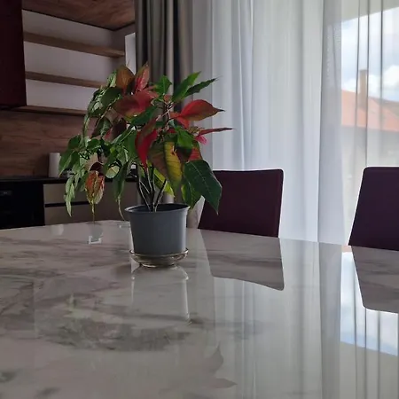 公寓 Valentini 克卢日-纳波卡